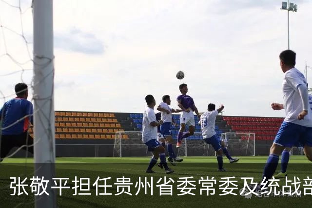 张敬平担任贵州省委常委及统战部部长新职务